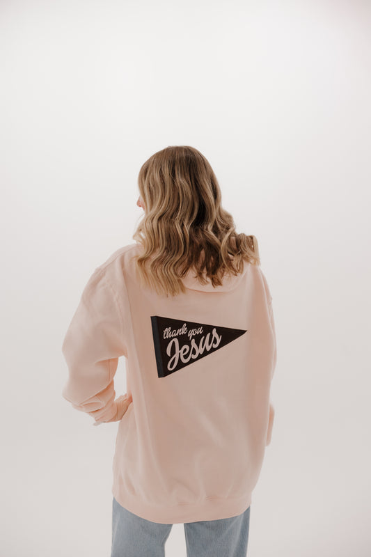 ANNIVERSARY HOODIE - PINK