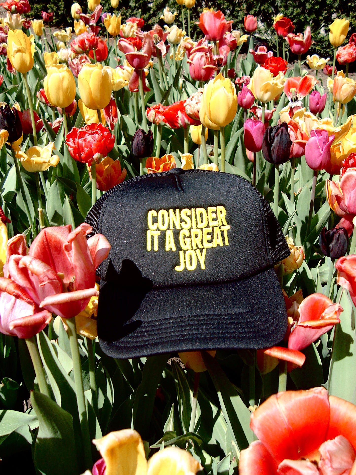 JOY TRUCKER HAT